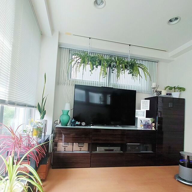 jinの-陶器鉢 植木鉢 ホワイトポット丸型 Lサイズ 直径18cm×高さ18cmの家具・インテリア写真