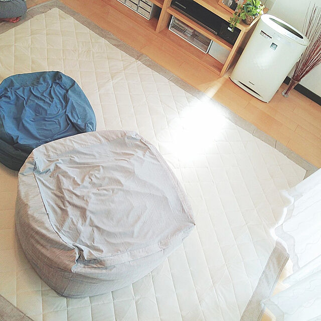 aho51のニトリ-ミニビーズクッション専用カバー(Nクール i-n) の家具・インテリア写真