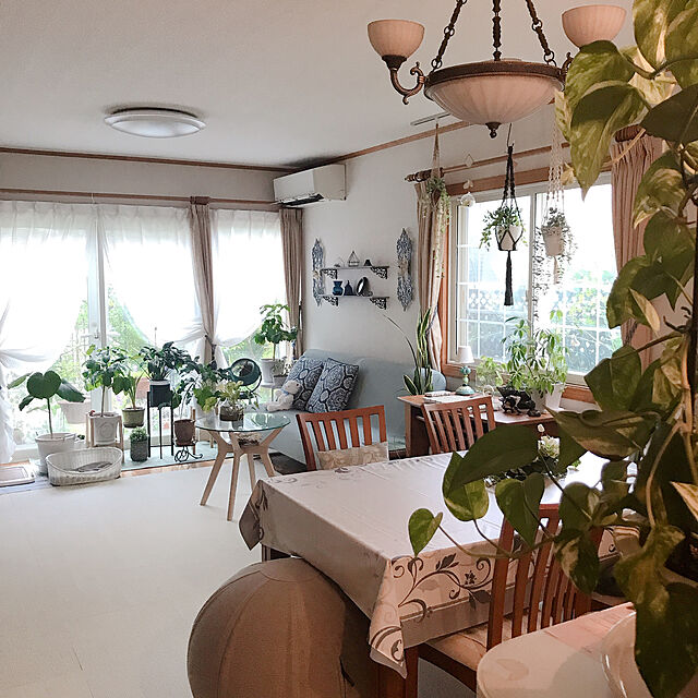 Tupemamaの-ペットケアー　ラタン風洗えるベッド　ホワイト　S【HLS_DU】　関東当日便の家具・インテリア写真