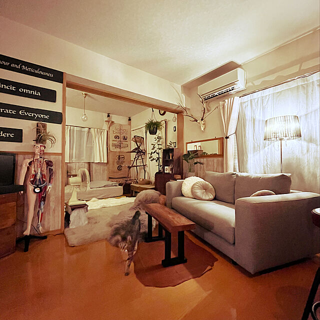 Mのさんてる-さんてる レトロ 電波掛時計 DQL668 丸型 日本製 アンティークブラウンの家具・インテリア写真