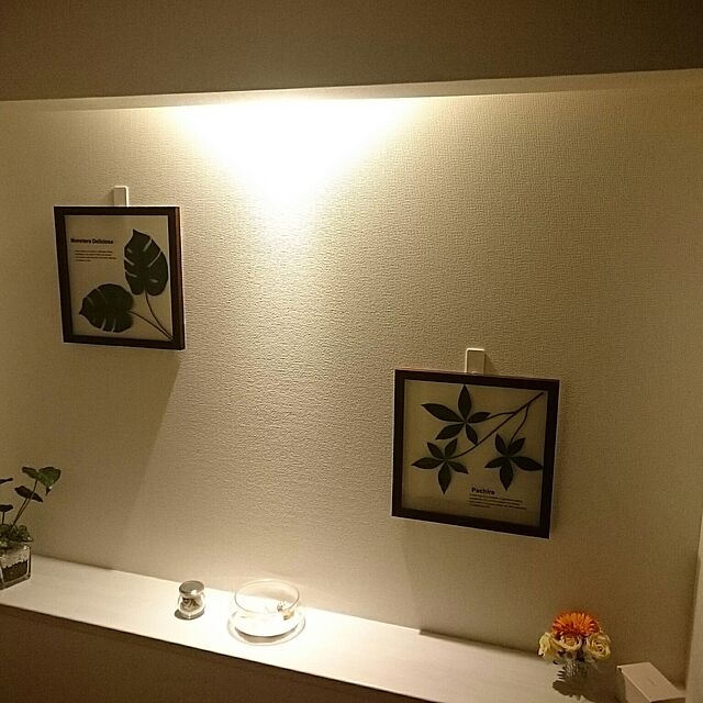 Maseの-リーフパネル セット 2点よりどり 壁掛け インテリア 選べる まとめ買い アートフレーム 壁飾り「並べて飾るとオシャレです」 リゾート風 ボタニカル 緑のある暮らしの家具・インテリア写真