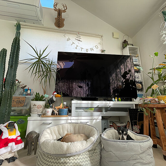 ramuの-シュライヒ　ワイルドライフ　コウテイペンギン　フィギュア　14841の家具・インテリア写真