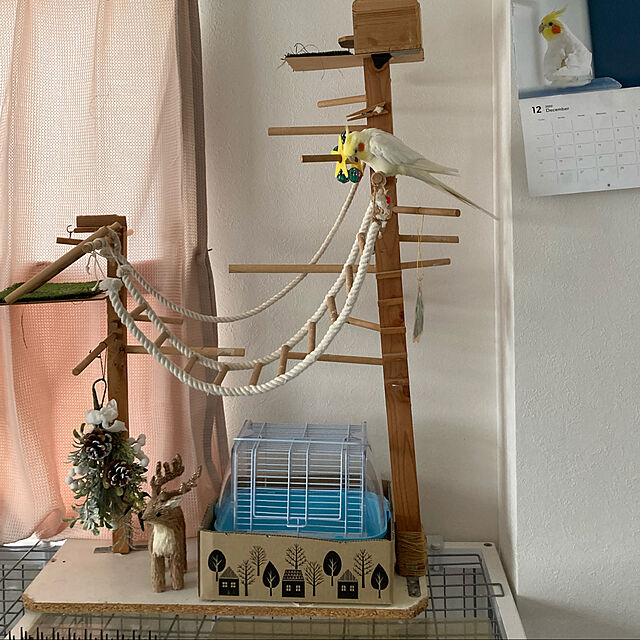 toratanのスドー-スドー　パーチスターボール　鳥　おもちゃ　固定式の家具・インテリア写真