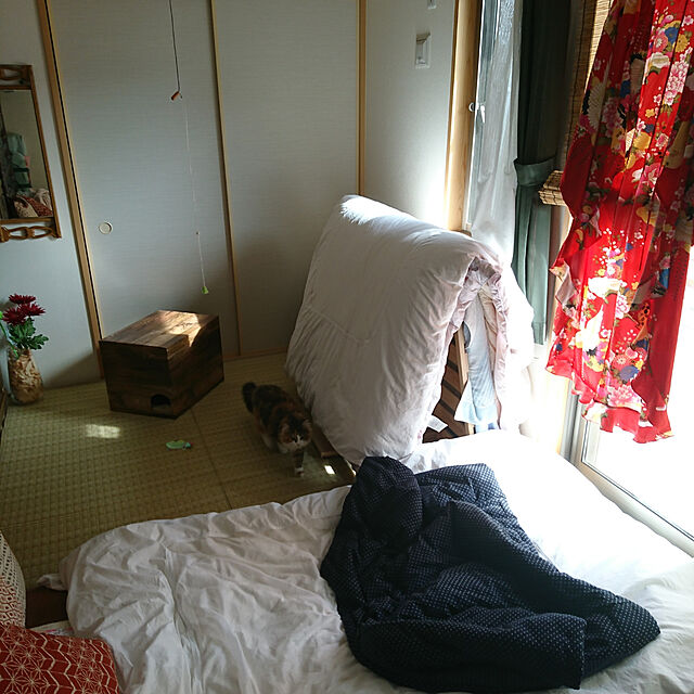mo.a.i.のニトリ-ジャンボピロークッションカバー(アケビ3) の家具・インテリア写真