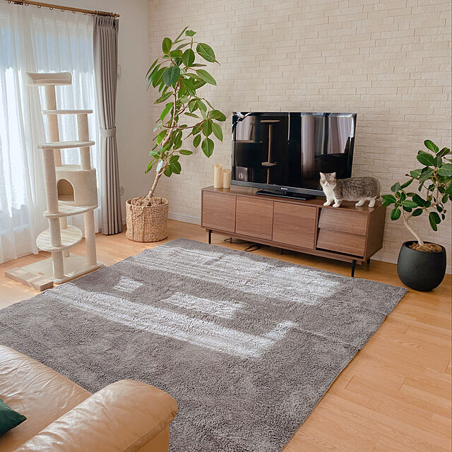 ayaのイケヒコ・コーポレーション-ラグ　プリーム　【イケヒコ】の家具・インテリア写真