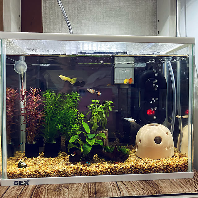 写真付きレビュー Kaiyopop 小型水槽 ヒーター ミニヒーター アクアリウム 水中 ヒーター熱帯魚 金魚 カメ 水槽 用 ベタ サーモスタット 周波数変換加熱する Led 水温 温度調節 故障ブザー 防爆 過熱保護 海水 淡水 25w cm 30cm 45cm 60cmの通販商品 口コミ情報