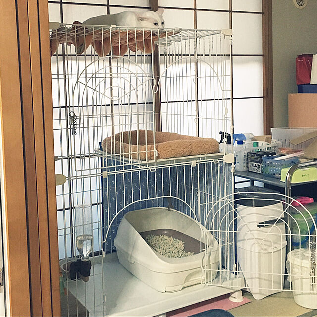 kana38の-ペットプロ　マイライフベッド　S　ライトブラウン　犬　猫　ベッド　あったか【HLS_DU】　関東当日便の家具・インテリア写真