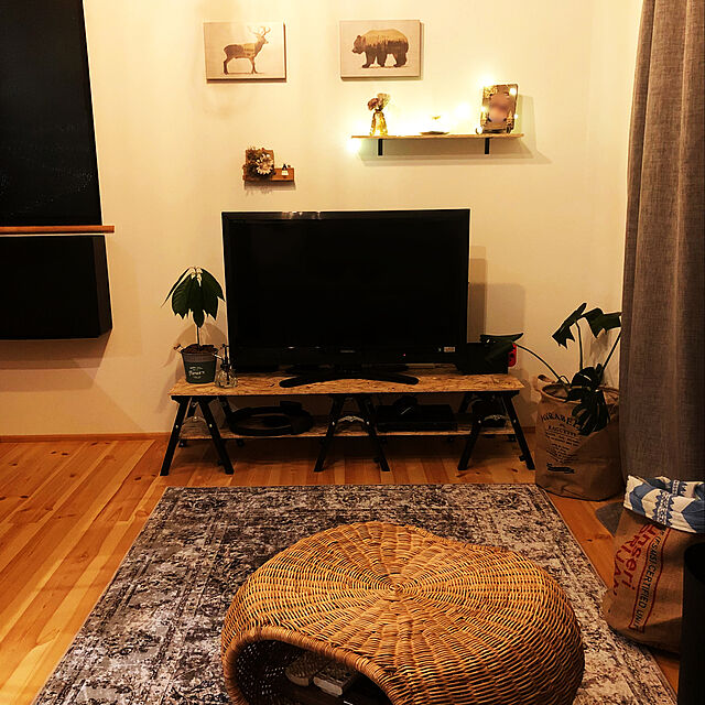 mitsumushiのイケア-TRONES トローネス シューズキャビネット/収納の家具・インテリア写真