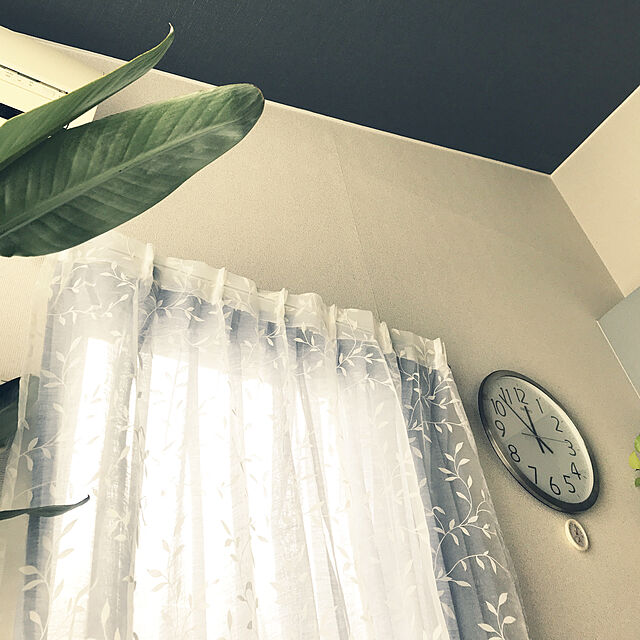 keinagen91の花ごころ-花ごころ 観葉植物の土 5lの家具・インテリア写真