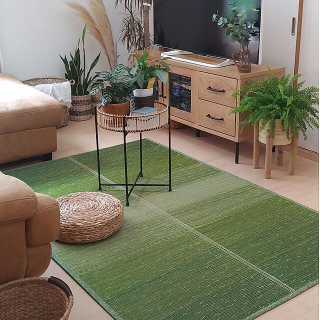 YU-KAのイケヒコ・コーポレーション-い草ラグ マット NCXクリアの家具・インテリア写真