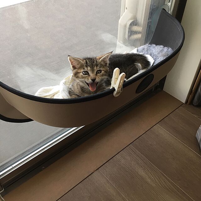 mikomaruの-EZ MOUNT WINDOW BED　イージーマウント　ウィンドウベッド　タン （91911）【猫 ベッド キャット】【特箱】の家具・インテリア写真