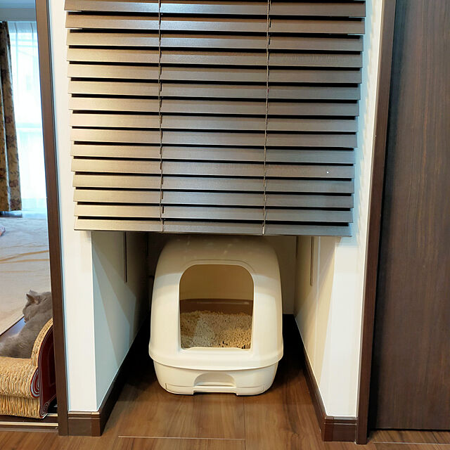 charlotteのニトリ-木製ブラインド(ヴェントDBR 60x138) の家具・インテリア写真