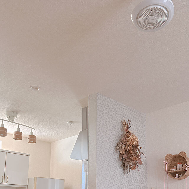 rinaffyのドウシシャ-CIRCULIGHT(サーキュライト) メガシリーズ 引掛けモデル DSLH10MCWHの家具・インテリア写真