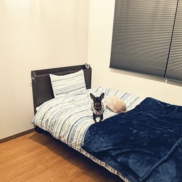 shizuponのニトリ-シングルベッドフレーム(ヴァイン-S MBR LEG) の家具・インテリア写真