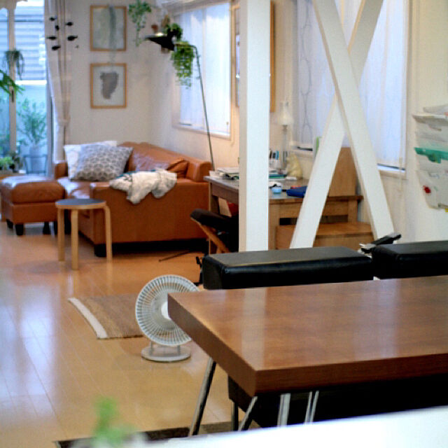 koenyokoの-観葉植物：ディスキディア・ルスキフォリア*バリエガータ“ミリオンハート”メルシー吊り鉢の家具・インテリア写真