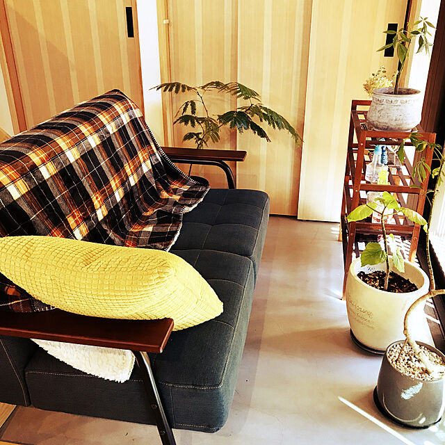 aki_wrappinのニトリ-スローケット(チェックNV Q) の家具・インテリア写真