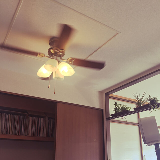 Koichiの-シーリングファン ライト LED シーリングライト 6畳〜12畳 LED電球対応 間接照明 おしゃれ プルスイッチ式 リバーシブル羽 木目 軽量 ライト シーリングファンの家具・インテリア写真