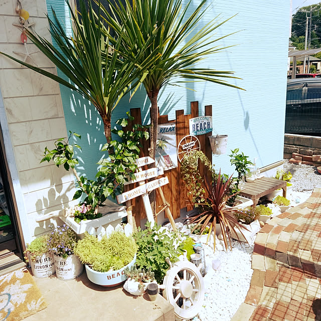 写真付きレビュー プランター 植木鉢 おしゃれ 鉢植え レジン 貝型鉢 巻貝 シェル フ ラワーベース 幅0 奥行115 高さ85 貝型鉢 巻貝 鉢 穴あり ガーデニング 軽量 園芸用品 庭 花 木 かわいい ギフトの通販商品 口コミ情報 Roomclipショッピング