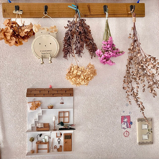 takakoの-アジサイ 『 アナベル 』 白　6号スリット鉢植え 苗木の家具・インテリア写真