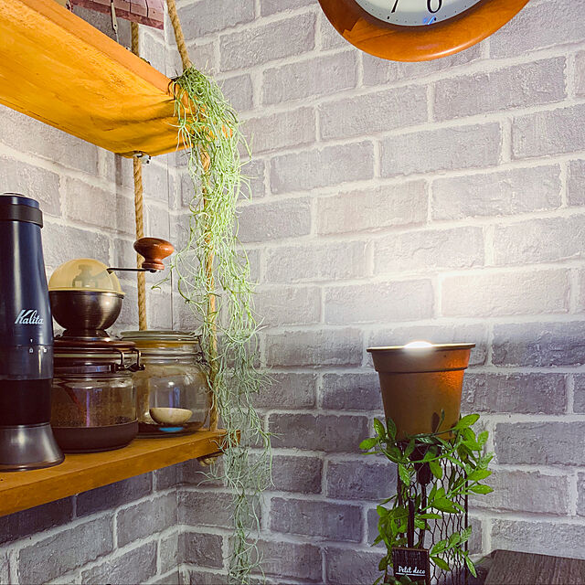 mugi5の-【あす楽】 カリタ 電動ミル スローG スモーキーブルーの家具・インテリア写真