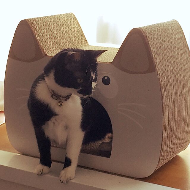 miruの-【アウトレット】PuChiko 猫つめとぎ キャットトンネルハウス(1コ入)【PuChiko】[快適ねこ生活]の家具・インテリア写真