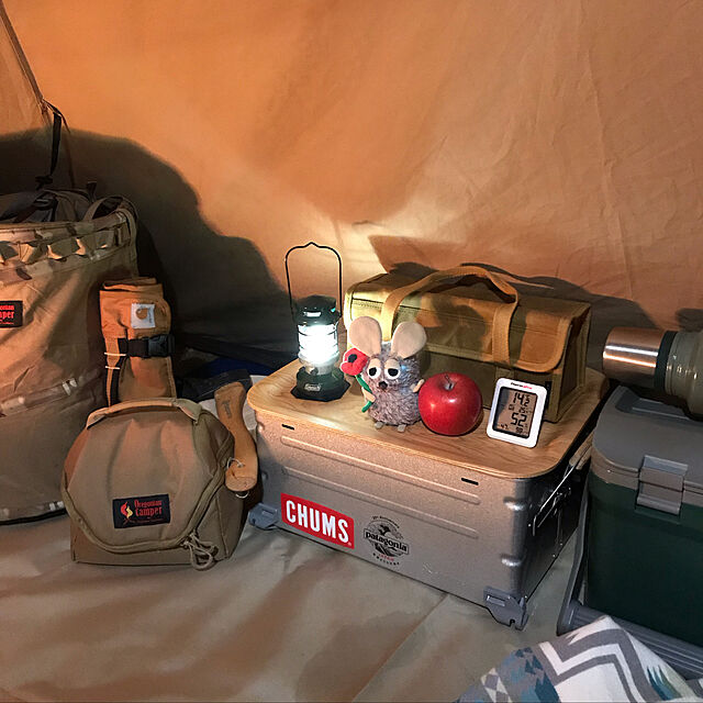 WestGermanyの-オレゴニアンキャンパー Oregonian Camper ダストバッグ メンズ レディース ポップアップトラッシュボックス POP-UP TRASH BOX OCB 708R odの家具・インテリア写真