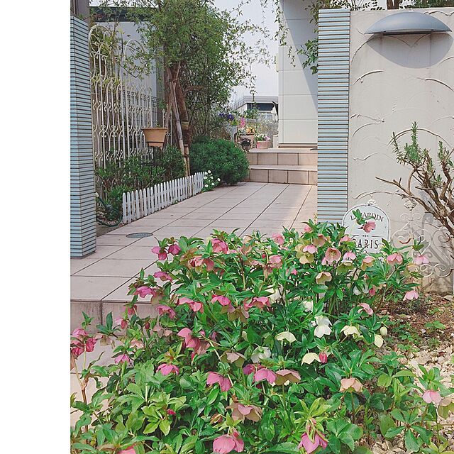Rの-ガーデンピック ホワイトパリ アイアン製 ガーデニング ガーデンオーナメント 置物 飾りの家具・インテリア写真