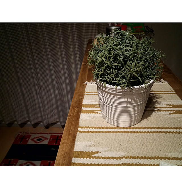 koeroomのイケア-【★IKEA/イケア★】FEJKA 人工観葉植物/501.919.93の家具・インテリア写真