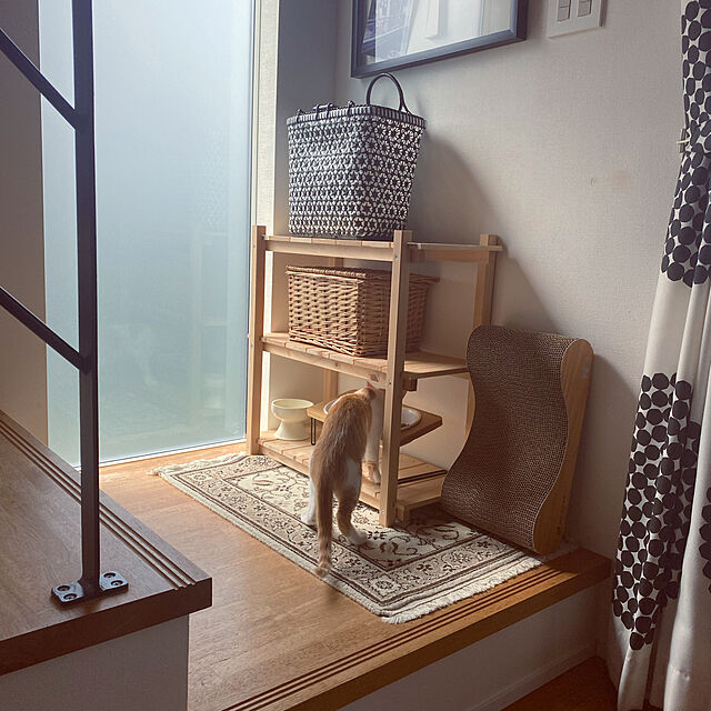 panchanのFUKUMARU-FUKUMARU 犬猫用スタンド付きセラミック食器、15度の角度つき、ペット用竹製スタンド付き食器、猫、犬、ペット、猫用、犬用、ペット用、食器、皿、陶器製、食器スタンド、餌入れの家具・インテリア写真