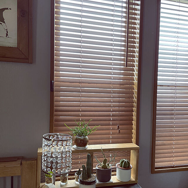 marumiのニトリ-木製ブラインド(ヴェントWH60x138) の家具・インテリア写真