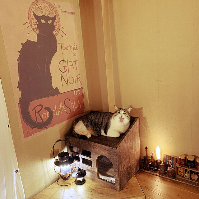rioのBingoPaw-猫ハウス 木製 ウッディキャットハウス ドーム型猫ベッド スクエア 小型犬小屋 温かい ペットハウス 室内 マット付き 夏冬用 猫家具 隠れ家 インテリアの家具・インテリア写真