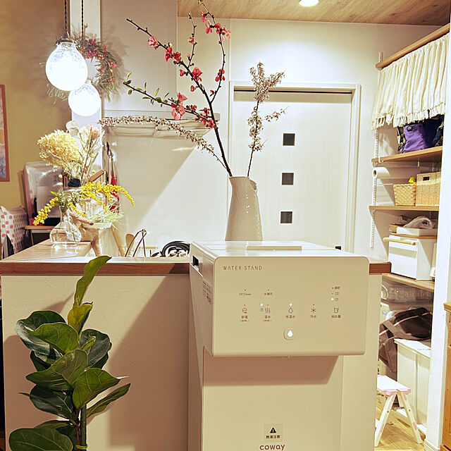 ya-の-リス SOLOW フタ付きゴミ箱 ペダルオープンツイン 45L ホワイト GSLW005 ソロウの家具・インテリア写真