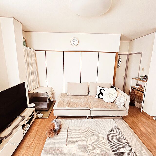 minのニトリ-縦横伸縮整理トレー Nブラン(ホワイト) の家具・インテリア写真