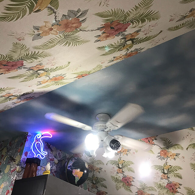 cyborg69のSIS-シーリングファンライト 42インチシーリングファン リモコン付き LED対応 照明4灯 風量3段階 天井照明 おしゃれ インテリアの家具・インテリア写真