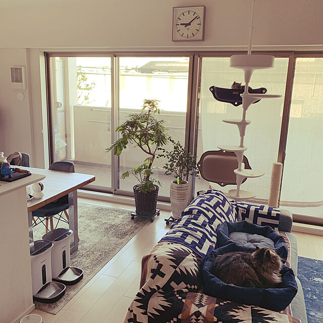 musamugiの-猫ベッド 吸盤 ウィンドウベッド 猫 キャットベッド キャットハウス EZ Mount Window Bed K&Hの家具・インテリア写真