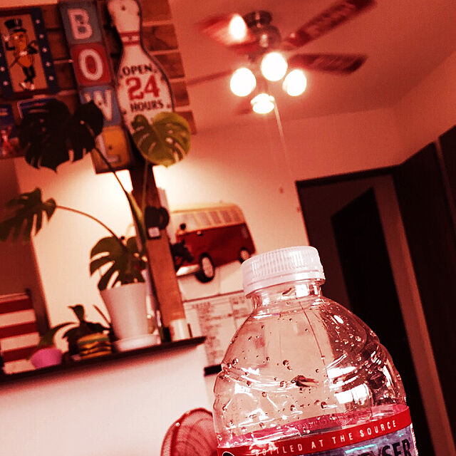 405.mの-クリスタルガイザー シャスタ産正規輸入品エコボトル 水(500ml*48本入)【クリスタルガイザー(Crystal Geyser)】の家具・インテリア写真