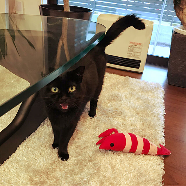 sakuraのペティオ (Petio)-ペティオ (Petio) 猫用おもちゃ けりぐるみ エビの家具・インテリア写真