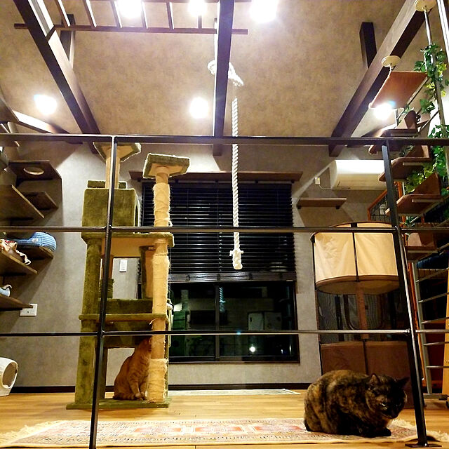 ARCATSの-猫/ケージ/ケージ/ネコ/ゲージ/キャットタワー/ペット【1段目が深い】キャットケージ4段深型シンプルタイプの家具・インテリア写真