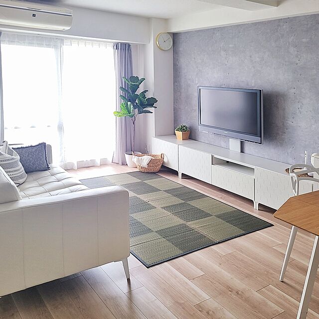 Ruのイケヒコ・コーポレーション- い草ラグ　ＤＸノア　【イケヒコ】の家具・インテリア写真