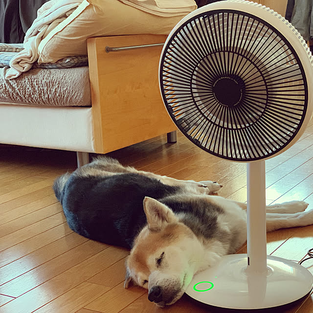 tomomi_kuranのバルミューダ-バルミューダ DCモーター 省エネ 扇風機 GreenFan mini（グリーンファンミニ）ホワイト×ブラック EGF-2100-WKの家具・インテリア写真