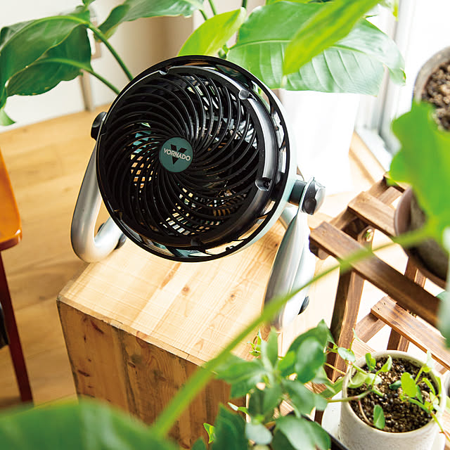 VORNADOJAPANの-ボルネード サーキュレーター 12畳 防塵 防沫 高耐久モーター 空気循環 観葉植物向き 部屋干し 節電 換気 24時間連続運転 3年保証 EXO51-JPの家具・インテリア写真