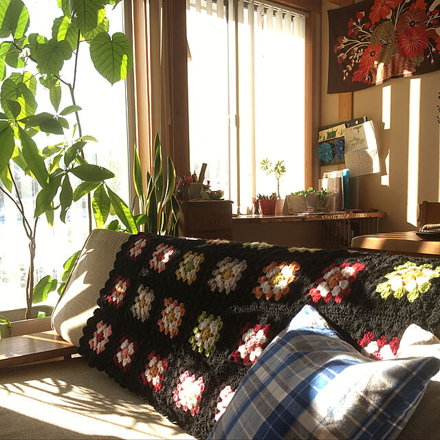 ToNaの-観葉植物 サンスベリア・ローレンティ スクエア陶器鉢植えの家具・インテリア写真
