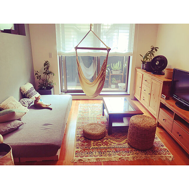 Kobamiのニトリ-シングルマットレス(デイ) の家具・インテリア写真