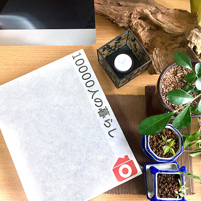 takaayaの-ミニ観葉植物　シルクジャスミン鉢植え（２号）の家具・インテリア写真