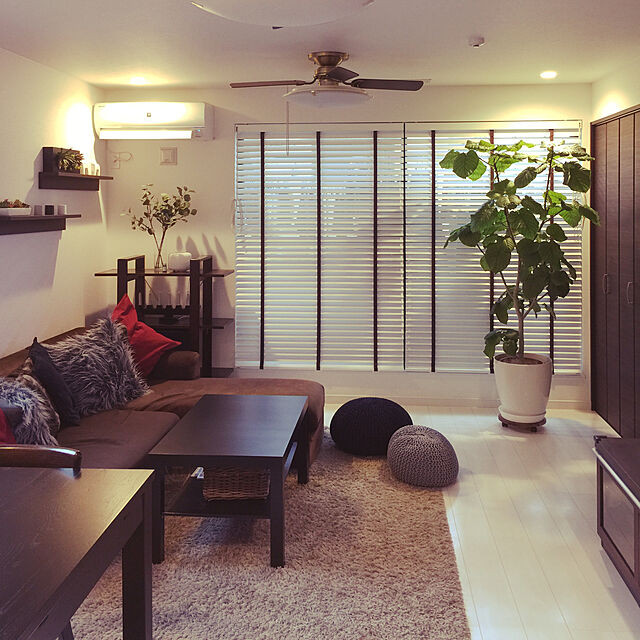 miniのイケア-IKEA　イケア　VILDAPEL　プラントムーバー　竹　ガーデニング　鑑賞　植物　輸入の家具・インテリア写真