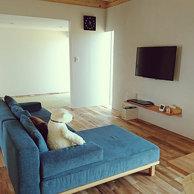 Renkaのカラーワークス-HIP　漆喰　ローラー用 10kg−Samurai Colors−白土の家具・インテリア写真