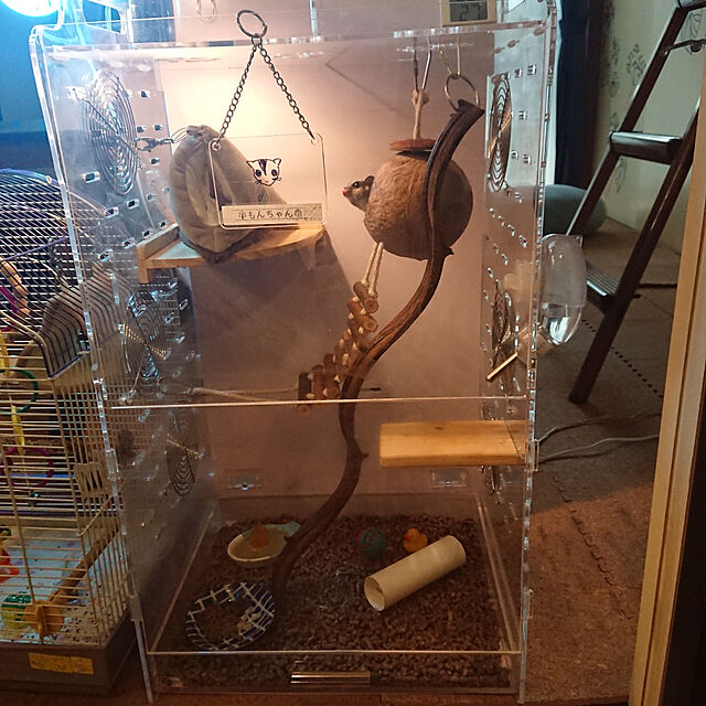 MegumiのKawapet-オウムの巣 ケージ インコ 小動物用ハウス リスハウス ハムスターおもちゃ ココナッツ殻 天然素材 はしごのおもちゃ付きの家具・インテリア写真