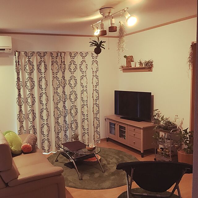 dangoのエフィルス-エアープランツ チランジア キセログラフィカ Sサイズの家具・インテリア写真