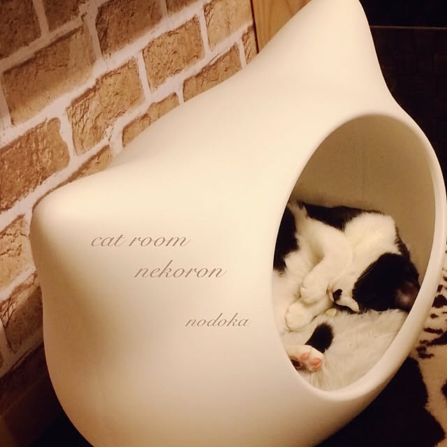 nodokaのオーエフティー-【OFT】 ねころん しろ 猫顔モチーフ ドーム型ベッド ファーマット付き ホワイト 猫の家具・インテリア写真
