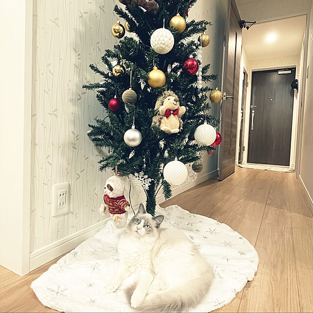 MaiのDERAYEE-DERAYEE クリスマスツリースカート オーナメント おしゃれ 円型 インテリア 飾り 直径92cm ホワイト X'mas 1PCS (雪花柄 刺繍)の家具・インテリア写真
